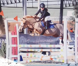 Pony da salto ostacoli