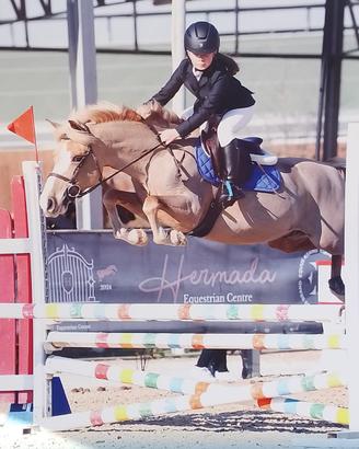 Pony da salto ostacoli