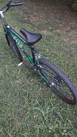 Bici mtb 26