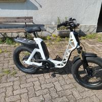 E-bike Fantic Issimo Urban