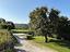 Immagine 26