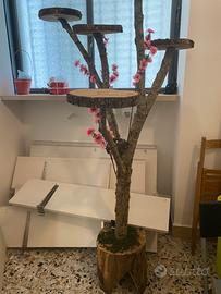 Albero da espositore