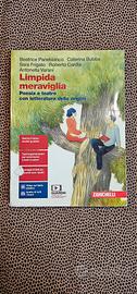 Limpida meraviglia 9788808411891