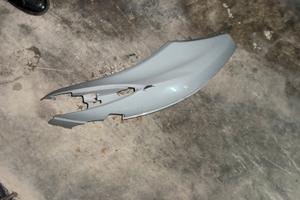 Carene posteriori dx/sx