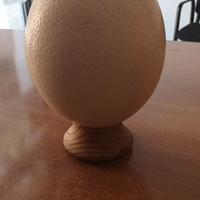 Uovo di Struzzo