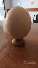 Uovo di Struzzo