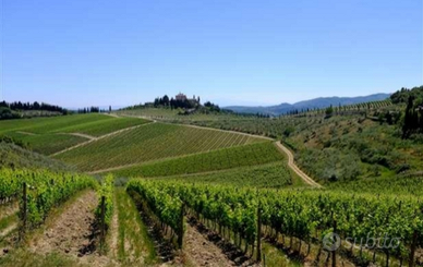 Azienda acquista ampi lotti terreni agricoli