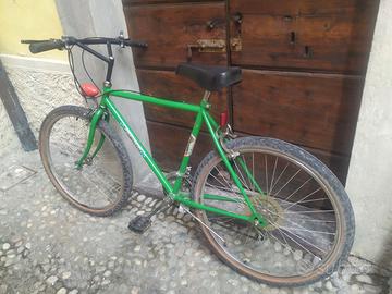 Mountain bike