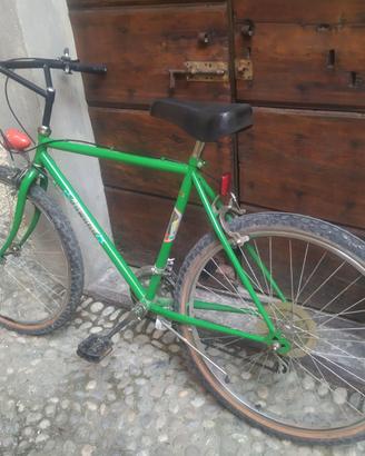 Mountain bike