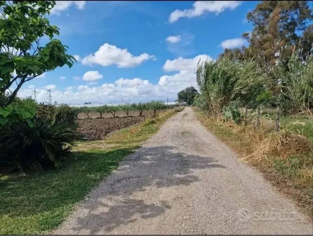 Immobile in asta di 32500 m² a Eboli - Altro