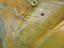 Immagine 29