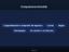 Immagine 11