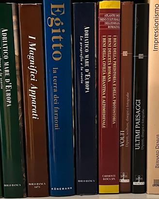 Collezione libri d'arte