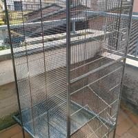 gabbia per uccelli