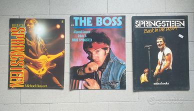 Bruce Springsteen: LIBRI