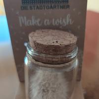 fiore dell'angelo Desirée 