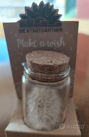 fiore dell'angelo Desirée 