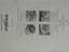 Immagine 5