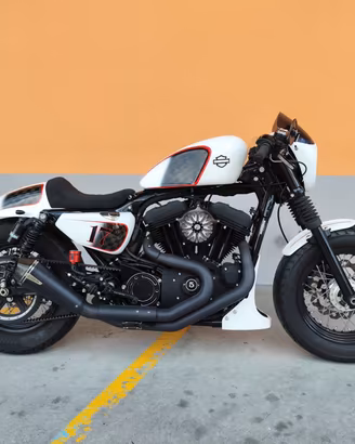 Harley-davidson 1200 Sportster Forty-Eight