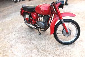 Moto Guzzi stornello