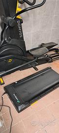palestra