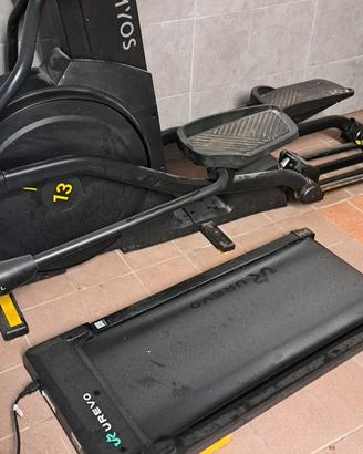 palestra