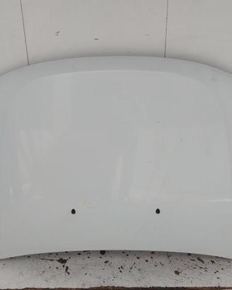 651000987R COFANO ANTERIORE DACIA DUSTER I REST (H
