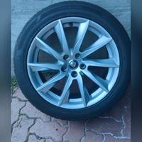 Gomme estive 