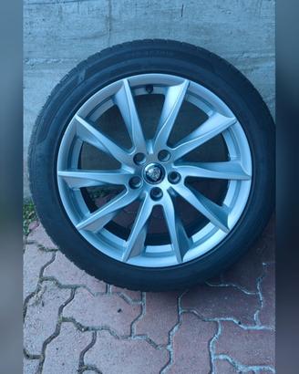 Gomme estive 