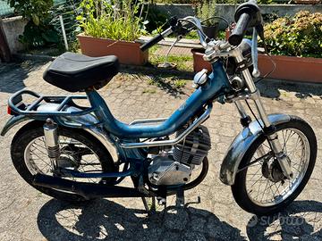 Fifty 1978