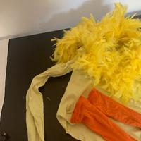 Abbigliamento di carnevale