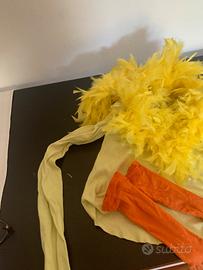 Abbigliamento di carnevale