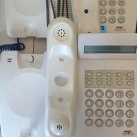 Apparecchi telefonici flexy voice