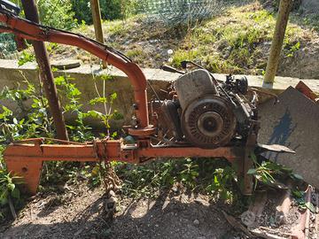 motozappa talpino morini
