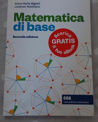 libro universitario di matematica 