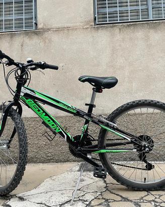 Mtb teaio 24