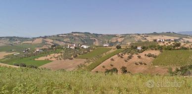 Terreno agricolo edificabile ad Atri, Abruzzo