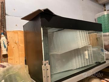 Acquario 120l