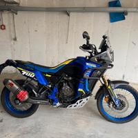 Tenere world raid 700