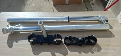 Forcella completa BETA XTRAINER 2015-2026