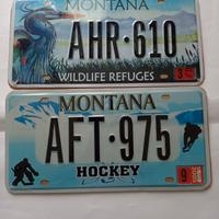 2 targhe MONTANA Segnali dal mondo 2008