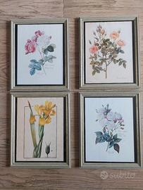 Quadretti con fiori cornice e vetro
