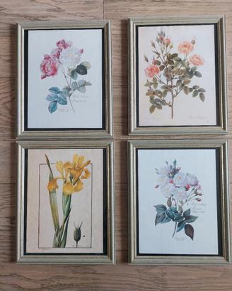 Quadretti con fiori cornice e vetro