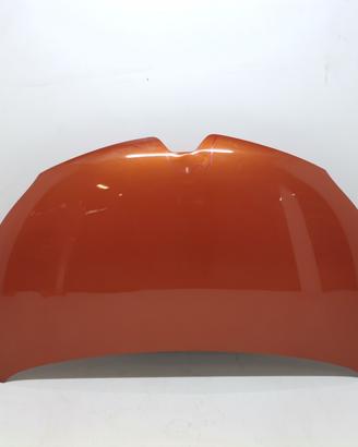 COFANO ANTERIORE RENAULT Captur Serie 651004529R (