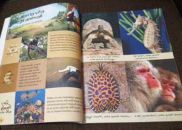 Libro Educativo DISNEY Enciclopedia Illustrata