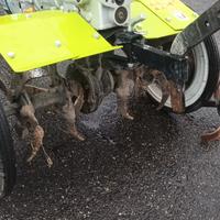 motozappa grillo 3500