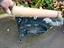 Immagine 5