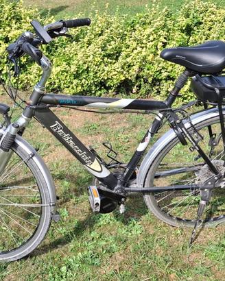 Bici Bottecchia Verde Natura Motorizzata
