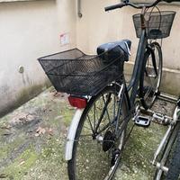 Bicicletta olandese con ceste