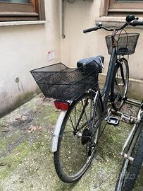 Bicicletta olandese con ceste